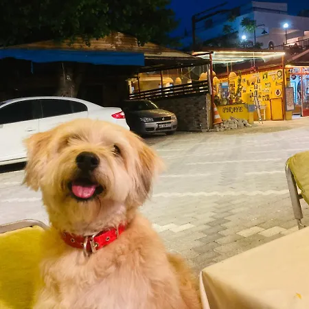 Szálloda Doenmez 2*