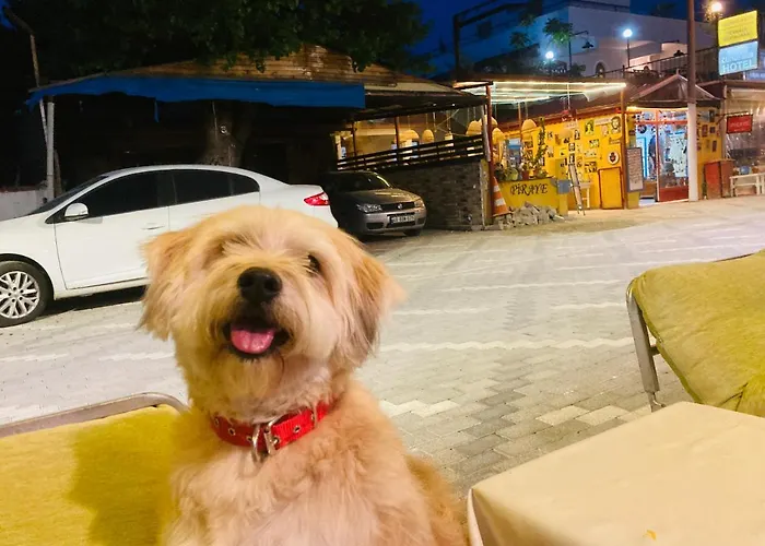 Hotel Hotel Doenmez 2*